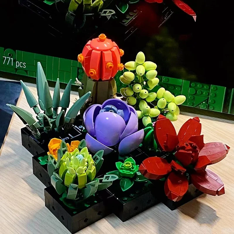 771PCS 8806 Succulents